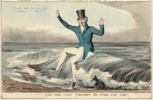 Der Mann, der dachte, die Flut der Reform zu stoppen, Der Herzog von Wellington